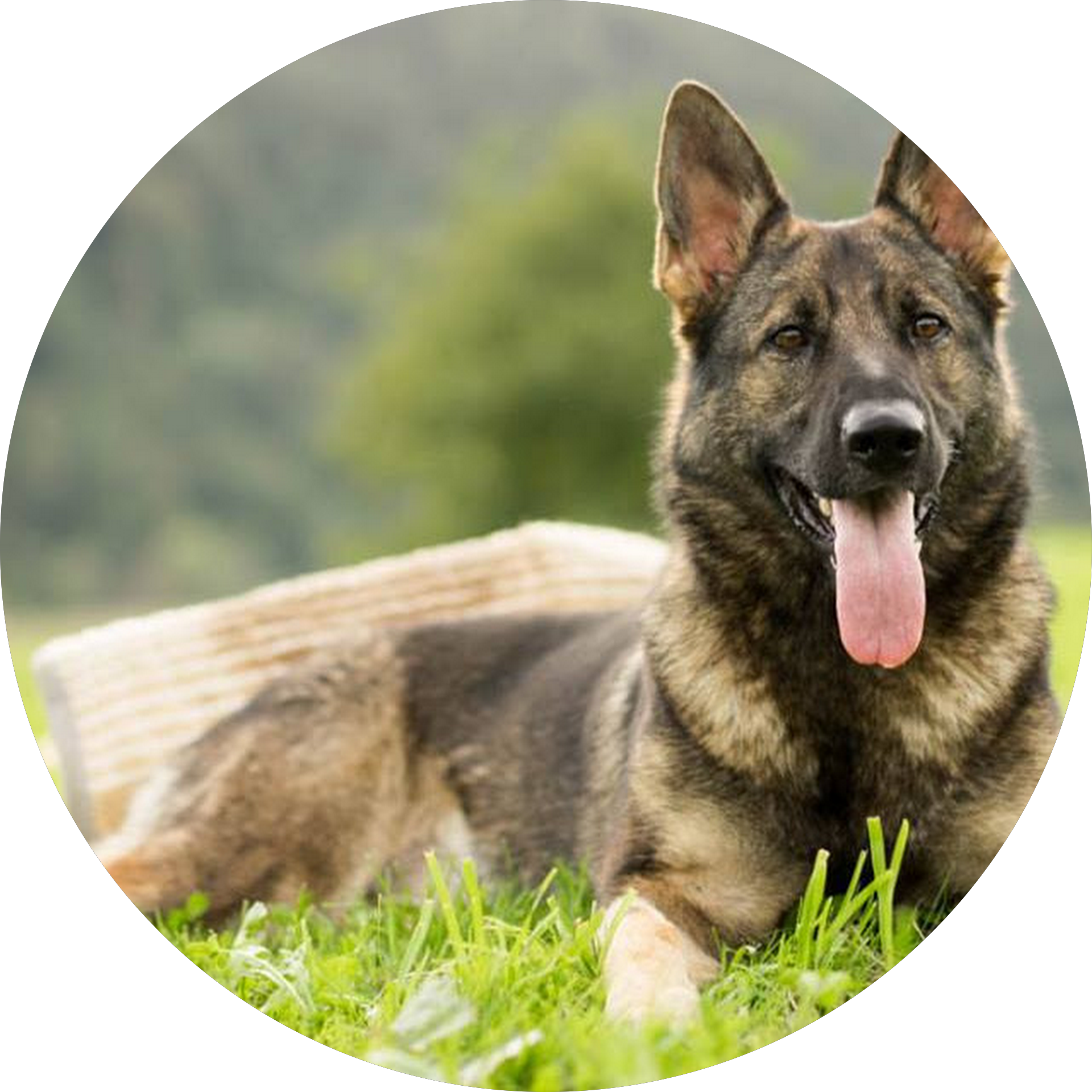 user-profile-pic